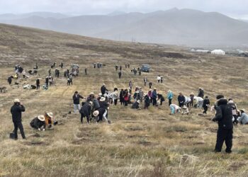 Намрын мод тарих арга хэмжээний үеэр нийслэлд 559.8 мянга гаруй мод тарилаа