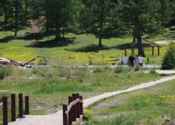 Нийслэлийн ногоон бүсэд зорчихыг хориглолоо