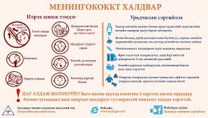 МЕНИНГОКОККТ ХАЛДВАРЫН ДӨРВӨН ТОХИОЛДОЛ БҮРТГЭГДЖЭЭ