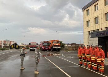 ТҮЙМРИЙН ГОЛОМТОД ҮҮРЭГ ГҮЙЦЭТГЭХЭЭР БҮЛЭГ ХӨДӨЛГӨӨН ҮЙЛДЛЭЭ