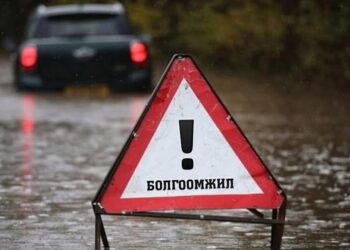 ГЭНЭТИЙН ҮЕРЭЭС БОЛГООМЖИЛ