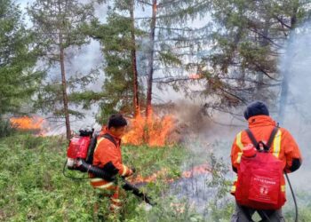 Түймрийн голомтод 429 хүн, 30 автомашинтайгаар ажиллаж байна