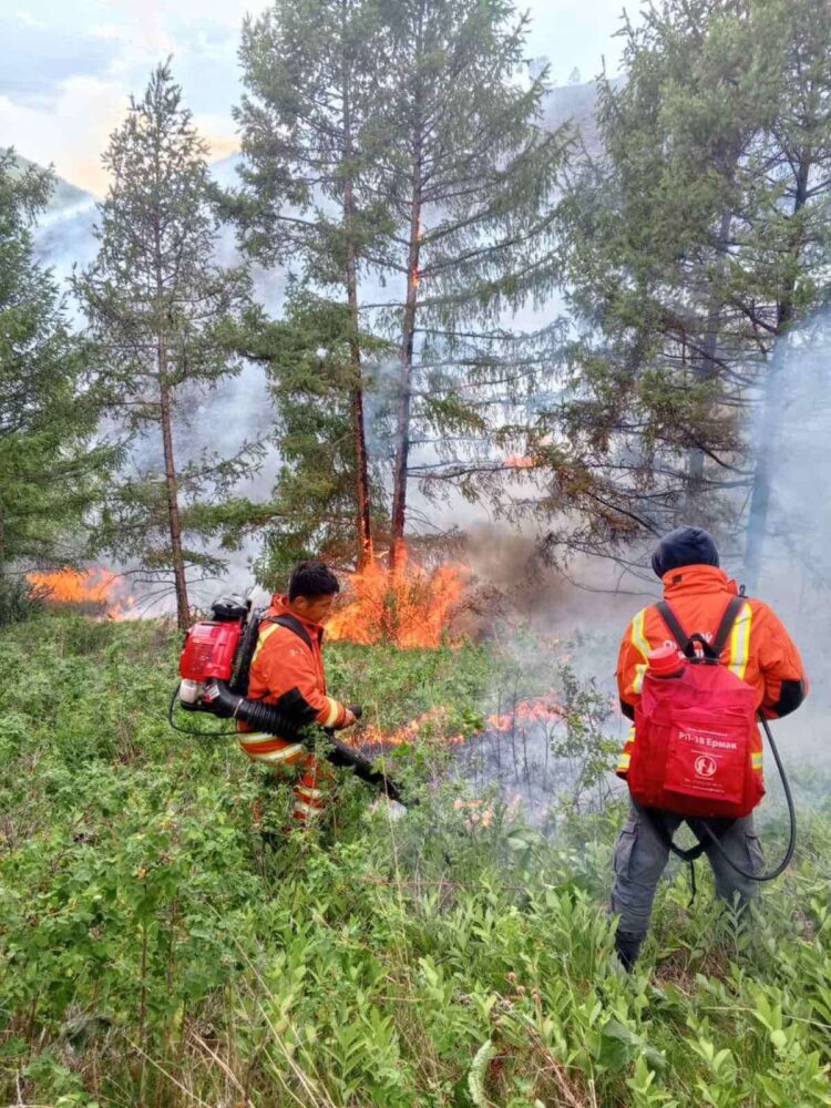 Түймрийн голомтод 429 хүн, 30 автомашинтайгаар ажиллаж байна