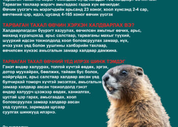 СЭРЭМЖҮҮЛЭГ ТАРВАГАН ТАХАЛ