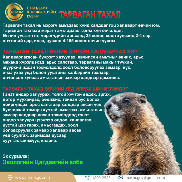 СЭРЭМЖҮҮЛЭГ ТАРВАГАН ТАХАЛ