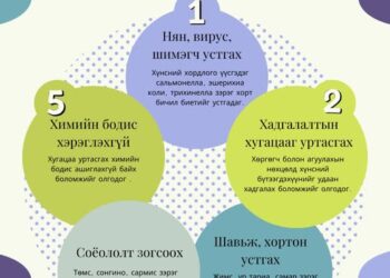 ЦАЦРАГААР БОЛОВСРУУЛСАН ХҮНС ХЭРЭГЛЭХЭД АЮУЛГҮЙ ЮУ?