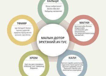 МАЛЫН ДОТОР ЭРХТНИЙ АЧ ТУС