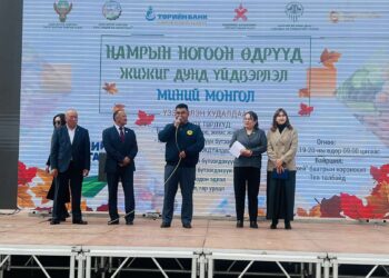 “НАМРЫН НОГООН ӨДРҮҮД” ҮЗЭСГЭЛЭН ХУДАЛДАА ЗОХИОН БАЙГУУЛАВ.