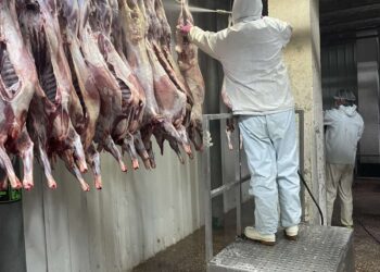 ХАЛАЛТ БАТАЛГААЖУУЛАЛТЫН ЖУРМЫН ДАГУУ ХОЁРДУГААР ШАТНЫ АУДИТ ХИЙЛЭЭ