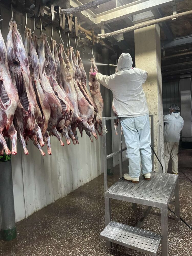 ХАЛАЛТ БАТАЛГААЖУУЛАЛТЫН ЖУРМЫН ДАГУУ ХОЁРДУГААР ШАТНЫ АУДИТ ХИЙЛЭЭ