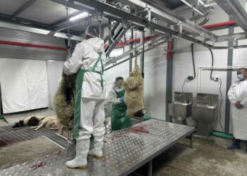 ХАЛАЛ БАТАЛГААЖУУЛАЛТЫН ЖУРМЫН ДАГУУ АУДИТ ХИЙЛЭЭ