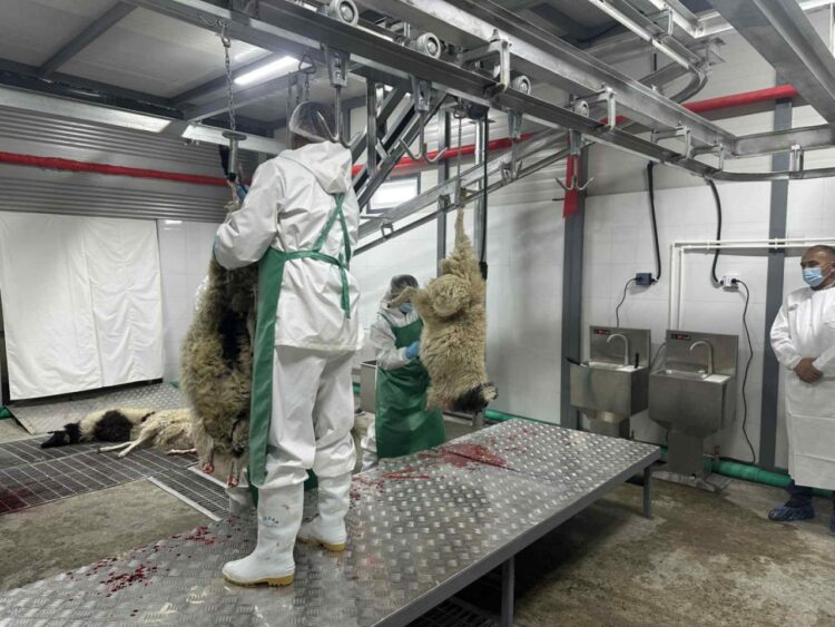 ХАЛАЛ БАТАЛГААЖУУЛАЛТЫН ЖУРМЫН ДАГУУ АУДИТ ХИЙЛЭЭ