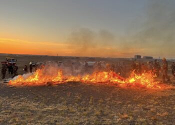 ГАМШИГТ ТЭСВЭРТЭЙ ОРОН НУТАГ НӨЛӨӨЛЛИЙН АЯНЫ ХҮРЭЭНД ГАМШГААС ХАМГААЛАХ БЭЛЭН БАЙДЛЫН ҮЗЛЭГ ЗОХИОН БАЙГУУЛАГДЛАА