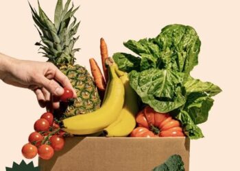 ЗООРИНД ХҮНС ХАДГАЛАХ ЗӨВЛӨМЖ